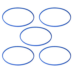 BactoSonic DI 10 Silikondichtung für Implantatbox IB 10 (5 Stück) Bild
